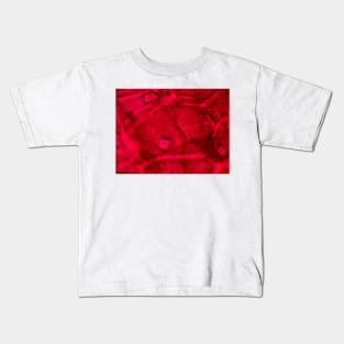 Red onion skin with oxalate crystals under the microscope Kids T-Shirt